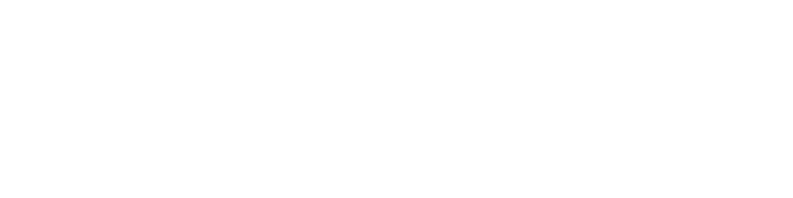 FLYVECTOR